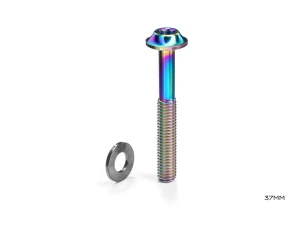 AbsoluteBlack Titaniumbult för flat mount-bromsok M5 x 37 mm rainbow